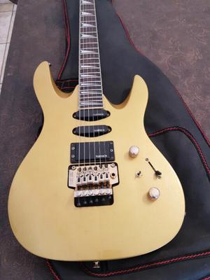 Guitarra eléctrica Samick con Floyd Rose - Canjes