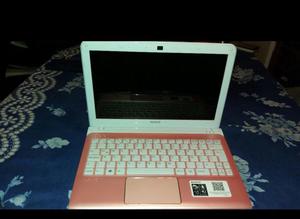 Netbook Sony Vaio