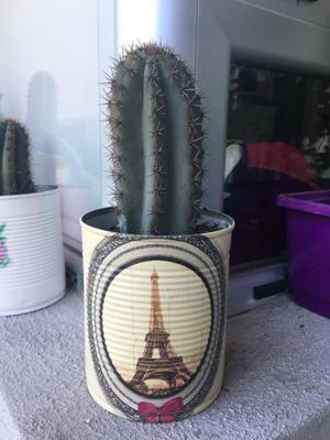 Macetas con cactus personalizadas!
