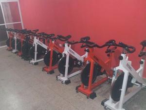 vendo permuto lote de bicis spinning 12