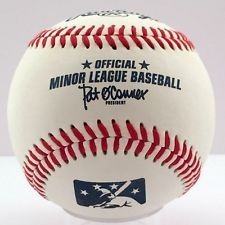 Pelota Beisbol Rawlings Profesional Minor League
