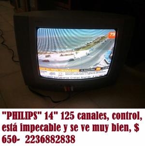 Philips 14" con control
