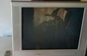 TV Philips 29"