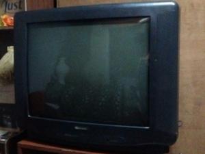 Televisor de 29" Serie Dorada