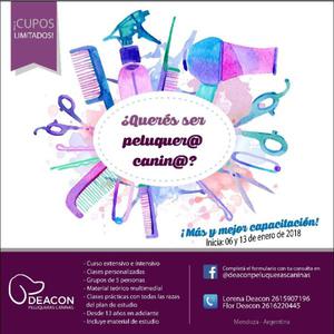 CURSO PELUQUERIA CANINA COMERCIAL