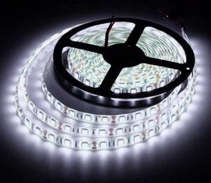 Tira Led  Blanco Frio O Calido Interior 300led Mayorled