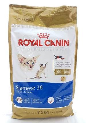 Royal Canin Siamese  Kg Gatos Envíos Gratis