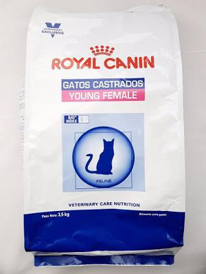 Royal Canin Young Female 3.5 Kg Gatos Adultos Envíos Gratis