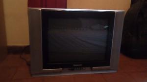 Vendo televisor 21" Panasonic pantalla plana