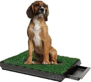 Alfombra Sanitaria De Pasto Para Perros Y Gatos *premium*