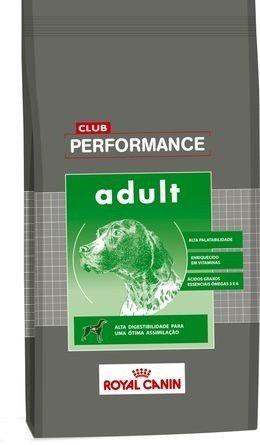 Club Performance Dog Adulto 15 Kg Envío Gratis Pipeta