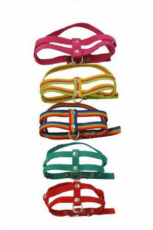 Pack Accesorios Para Veterinarias Y Pets Shop(180 Unidades)