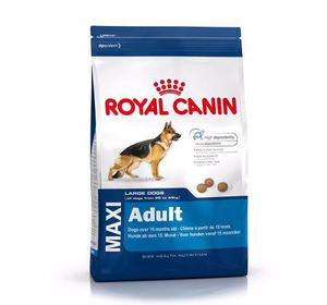 Royal Canin Maxi Adulto 15 Kg Envío Gratis Pipeta Regalo