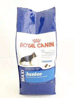 Royal Canin Maxi Junior 15 Kg Perros Cachorros Envíos