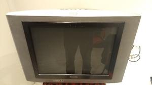 Televisor 29" Philips Pantalla Plana