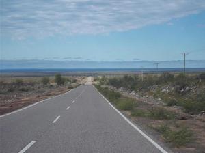 Campos y fincas con parrales y Olivos