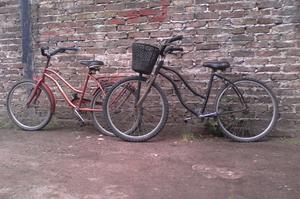 Dos bicicletas 24 y 26