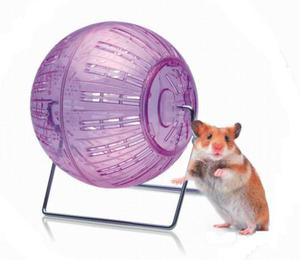 Bola De Ejericio Para Hamsters Con Soporte