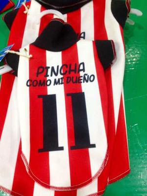 Camiseta Fútbol Perro Estudiantes De La Plata Envios