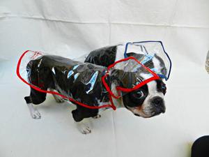 Capa De Lluvia Para Perros. Piloto Para Perros.