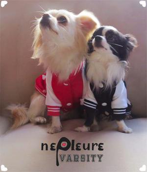 Chaqueta Varsity - Indumentaria Canina - Ropa Para Perros