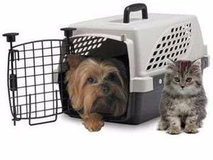 Transportadora Pet Suite 19 + Certificado Salud Para Viaje
