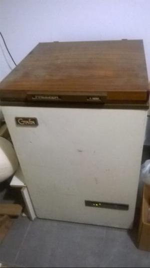 VENDO FREEZER GAFA F200