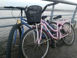 Bici rodado 24