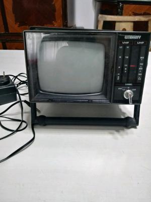 TV para autoportante