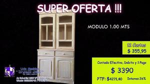 Modulo 1.00 Puertas Largas