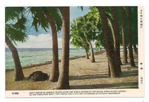 Postal Vintage Japon Isla Ao Shima