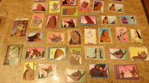 Tarjetazos Pocahontas Por 103 Piezas - Colección Shimmy
