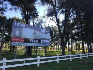 Lote 420 m2 Loteo Las Casuarinas, Francisco Alvarez -