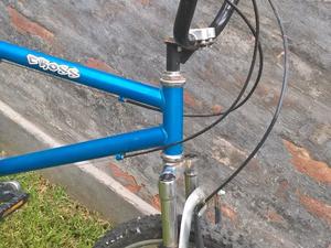 Bicicleta BMX rodado 22