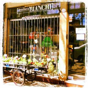 Semillería Bianchi venta de semillas en la plata