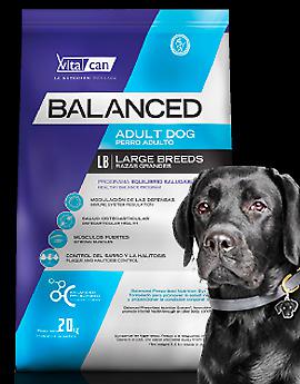 Vitalcan Balanced Adulto Raza Grande Palitos - HAUSPET