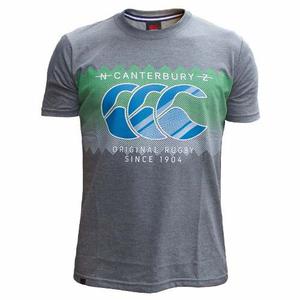 Remera Rugby Canterbury Ethnic Logo Tee Gris (rceltg)