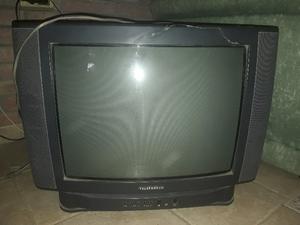 Vendo TV 21 pulgadas