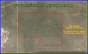 campo 12500 has. - provincia de río negro - argentina