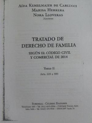 Tratado Dcho de Familia Código Nuevo