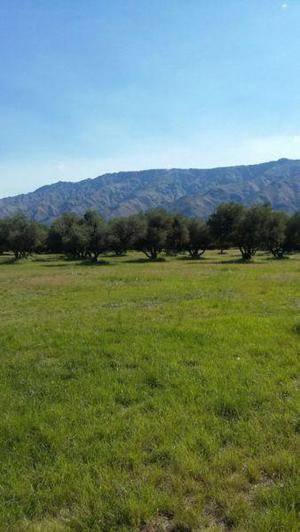 Venta de campo en Merlo-San Luis