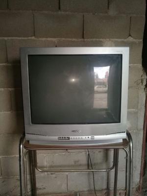 VENDO TV 29^PULGADAS