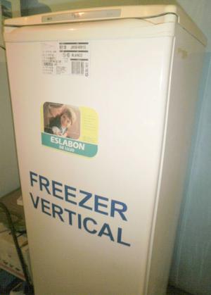 Freezer Vertical Eslabon De Lujo $