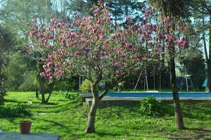 Quinta con piscina y canchita