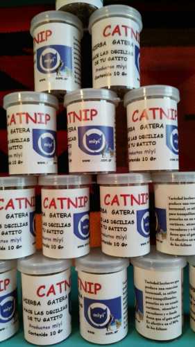 Catnip Autentico - Hierba Gatera Miyi - Averigüe Por Mayor