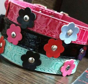 Collar para Perros 4 Flores