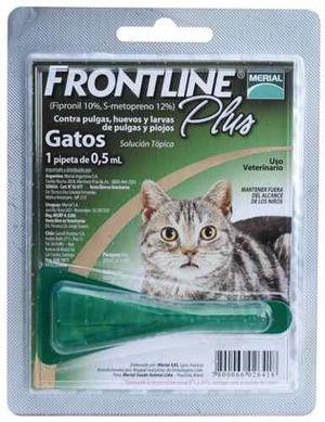 Pipeta Frontline Gato