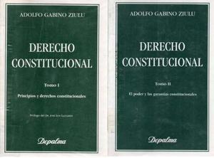 Derecho Constitucional. Adolfo G. Ziulu. 2 Tomos
