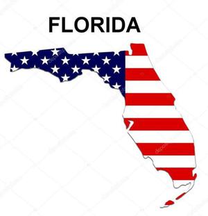 Actualizacion Mapa Peninsula De Florida Para Garmin