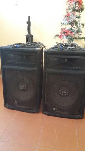 Parlantes 15' peavey con cables